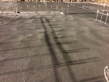 Load image into Gallery viewer, GOVERNMENT | POLICE STATION